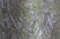 Fixby fibreglass roof work